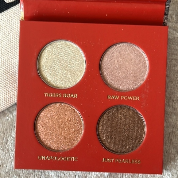 Brand New UD Eyeshadow Anastasia BH Blush Estée Lauder Mascara Lorac Lip in Bag - Picture 3 of 16